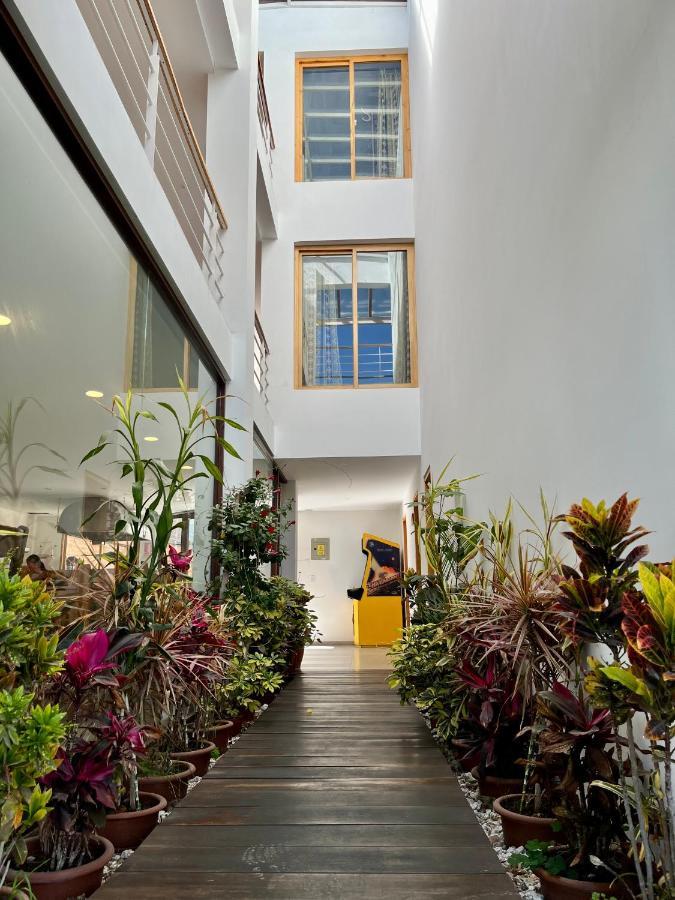 El Geranio Hostel *