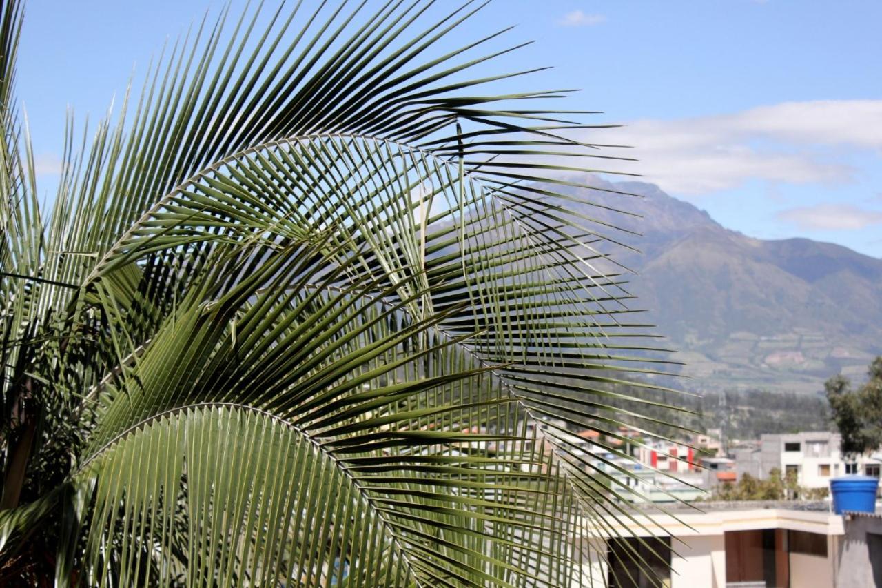 El Geranio * Otavalo